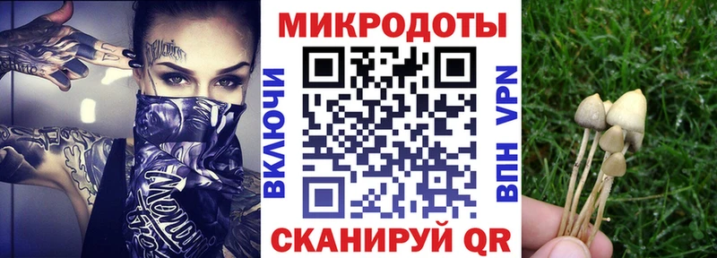 Галлюциногенные грибы мицелий  купить  цена  Байкальск 